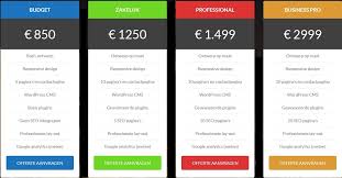 goedkoop website laten ontwerpen