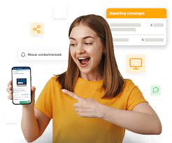 professionele webshop