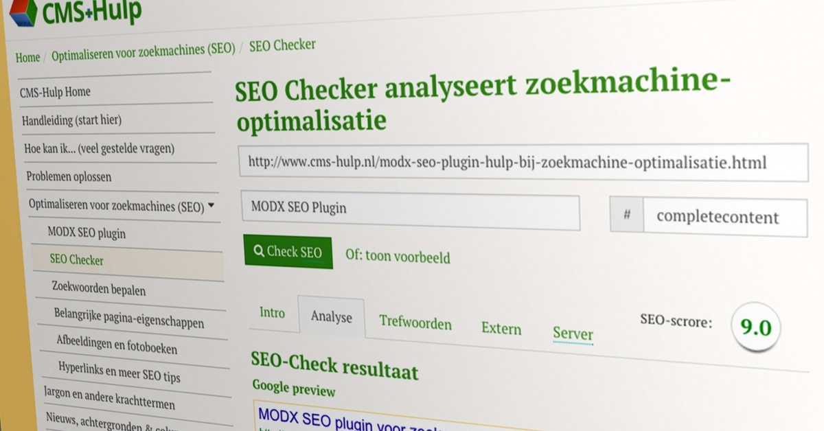 seo zoekmachine