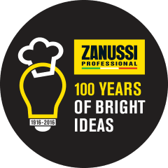 zanussi logo