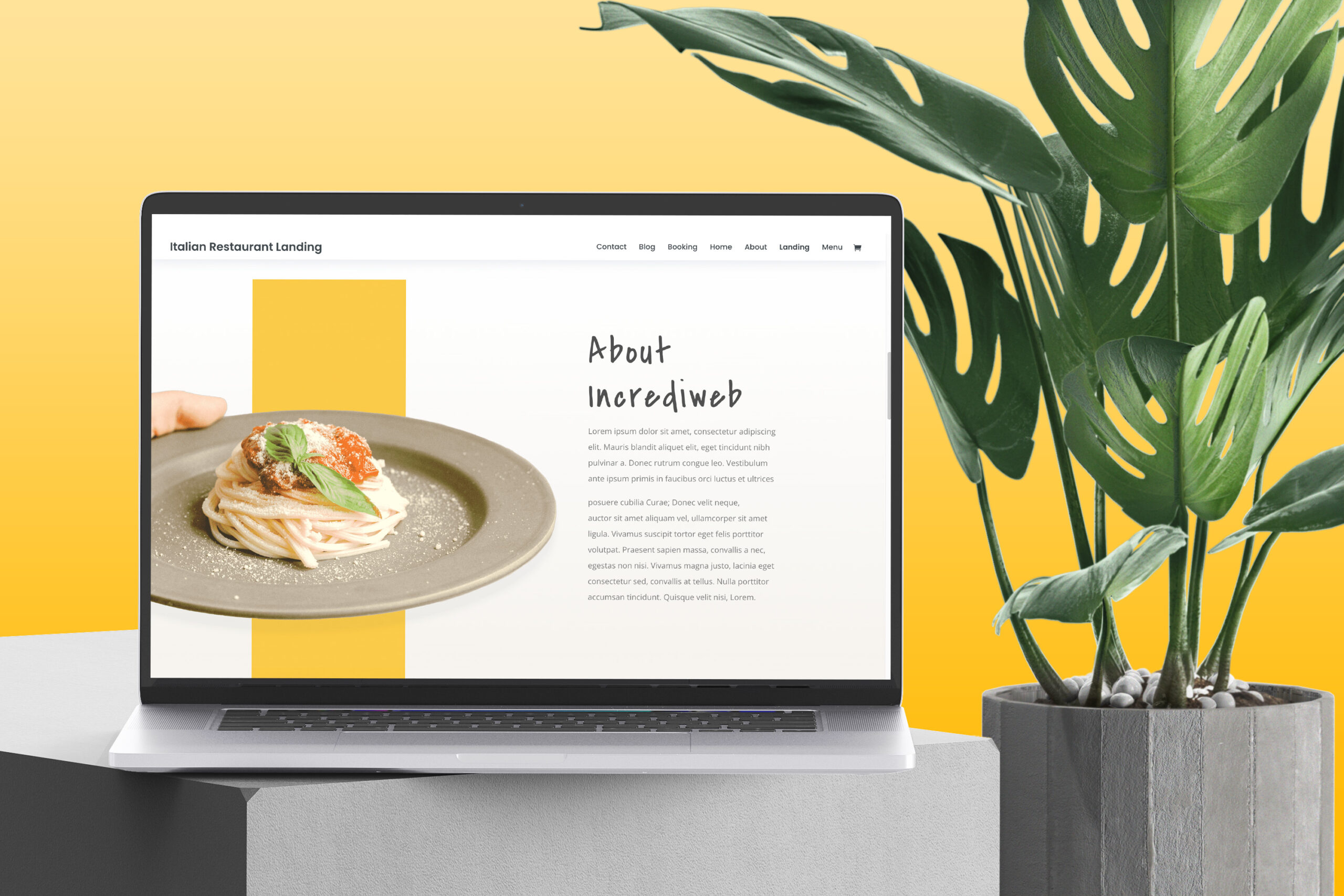 webdesign hasselt
